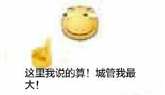 这里我说的算!城管我最大!
