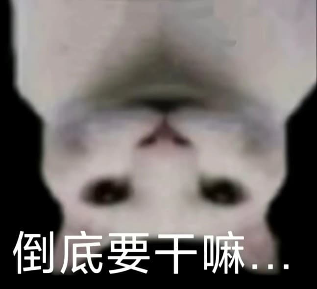 没建模没经济小猫表情包系列