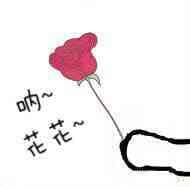 呐，花花