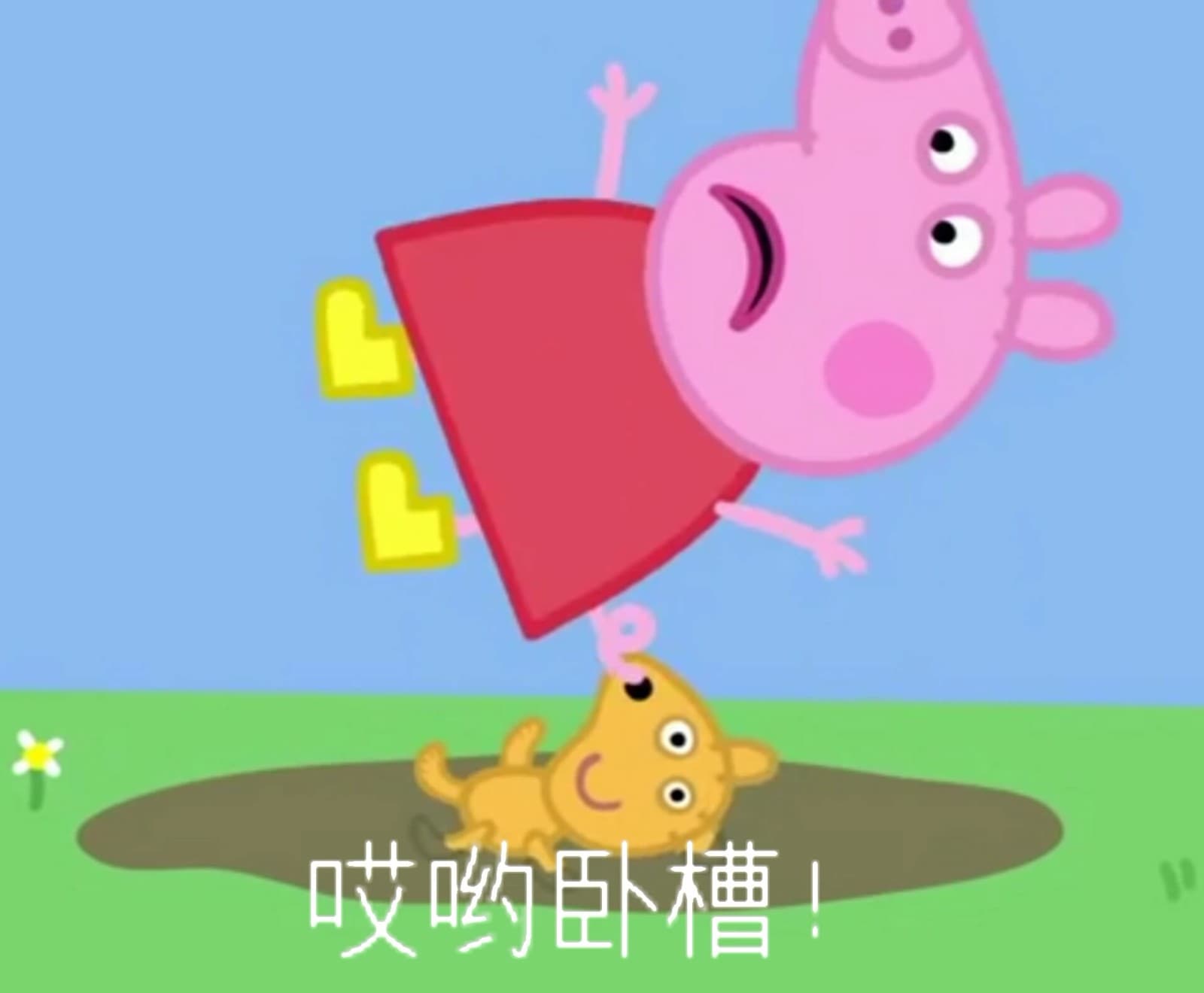 哎呦卧槽！