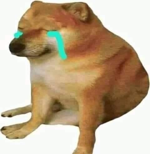 cheems crying