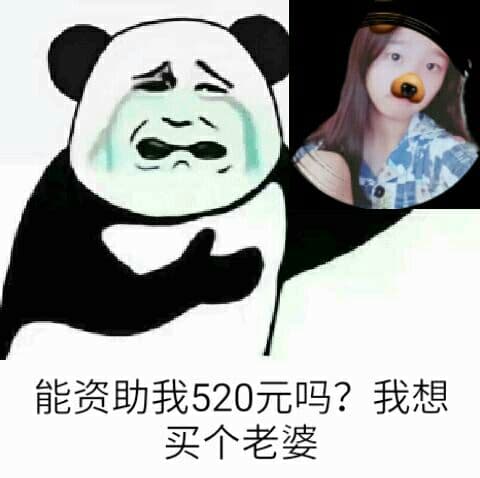 能资助我520元吗?我想买个老婆