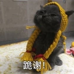 跪谢!N