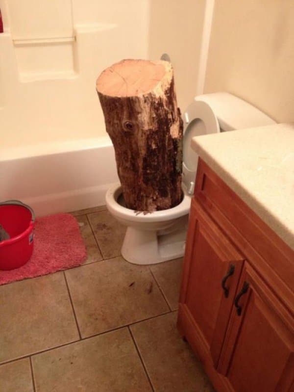 Log in toilet