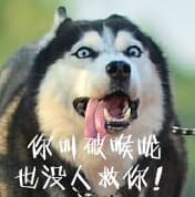 你叫破喉咙 也没人来救你！