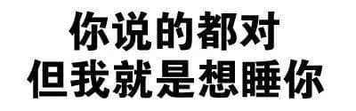你说的都对，但我就是想睡你
