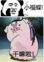 小福蝶，干嘛啦！
