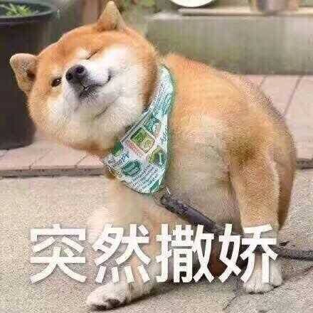突然撒娇!