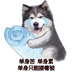单身苦、单身累单、身只能搂着被