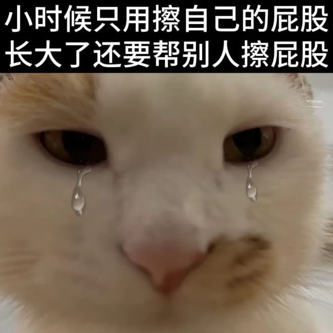 发福了呀腊八蒜小猫表情包