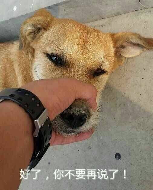 搞笑表情包