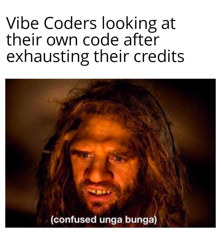 Vibe Coders Looking At Their Own Code