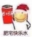 肥宅快乐水