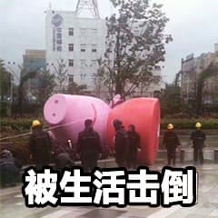 佩琪被生活击倒