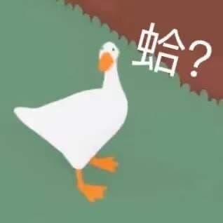 蛤？