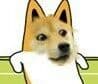 doge搞高姿势