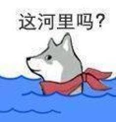 这河里吗?