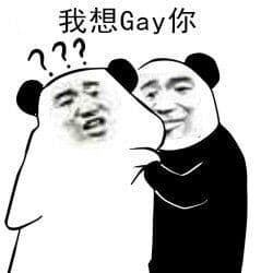 我想Gay你