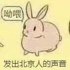 发出北京人的声音（哟喂）