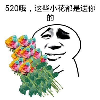 520哦.这些小花都是送你的!