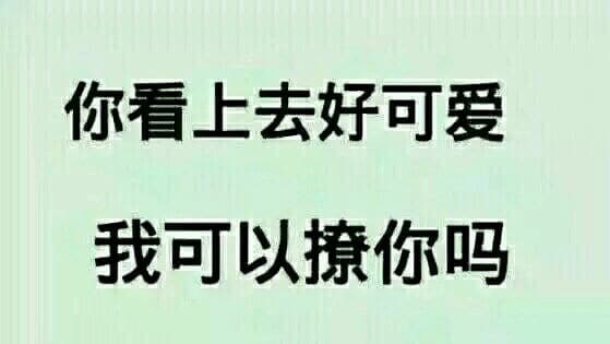 你看上去好可爱，我可以撩你吗？