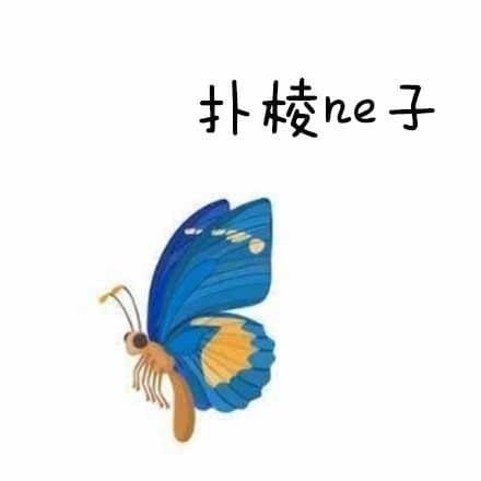 扑棱ne子