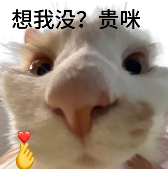 发福了呀腊八蒜小猫表情包