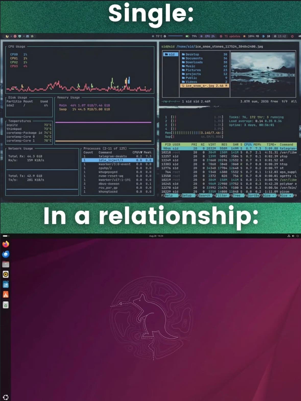 Single Vs In A Relationship