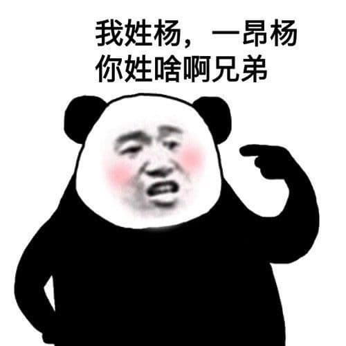 我姓杨,一昂杨你姓啥啊兄弟