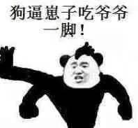 狗带崽子吃爷爷一脚