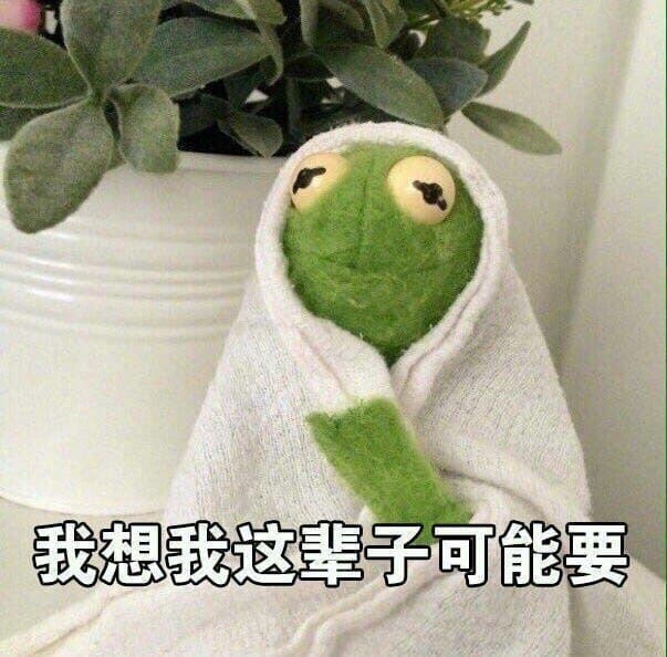 我想我这辈子可能要