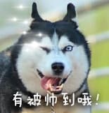有被帅到哦！
