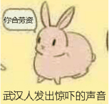 武汉人发出惊吓的声音（你合劳资）