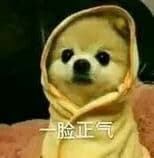 一脸正气