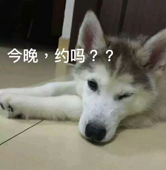 今晚，约吗？（躺地上）