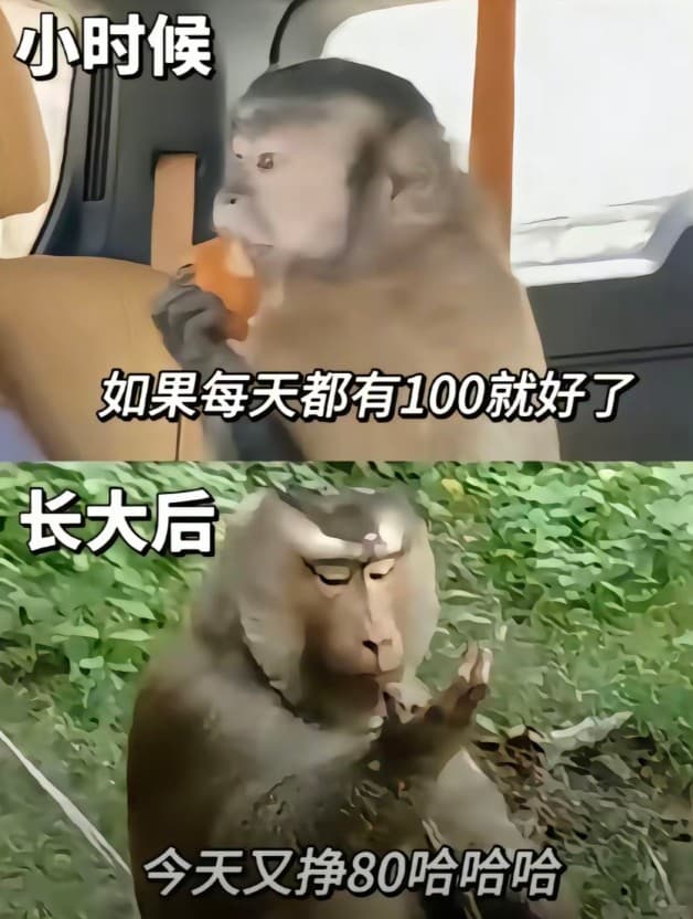 吗喽打工表情包