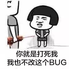 你就是打死我我也不改这个BUG