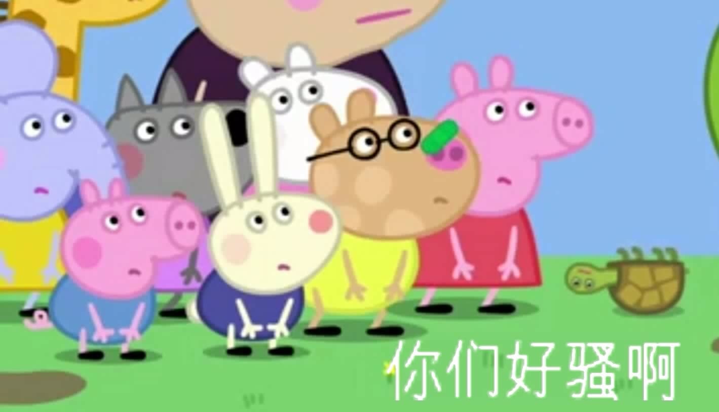 你们好骚啊