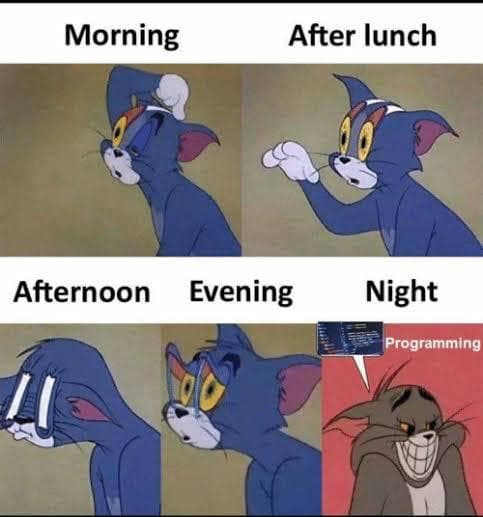 Night Programming