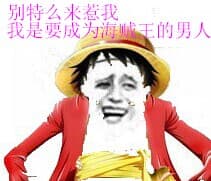 别特么来惹我.我是要成为海贼王的男人