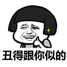 丑得跟你似的