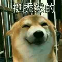 柴犬斗图表情包