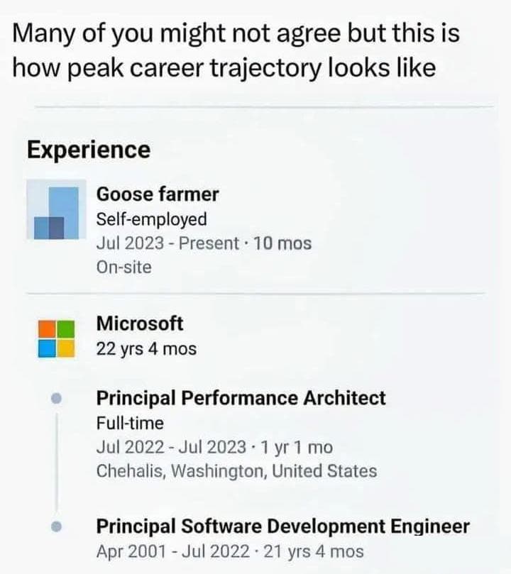 Peak Programmer Career Trajectory