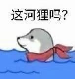 这河狸吗?