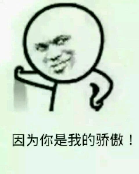 因为你是我的骄傲！