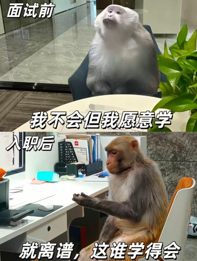 打工人上班吐槽表情包