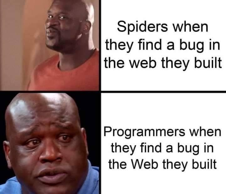 Find Bug In Web