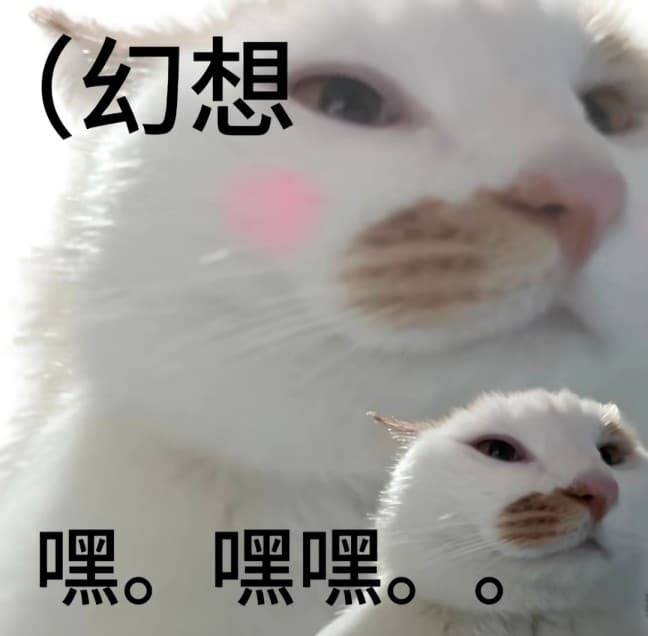 发福了呀腊八蒜小猫表情包