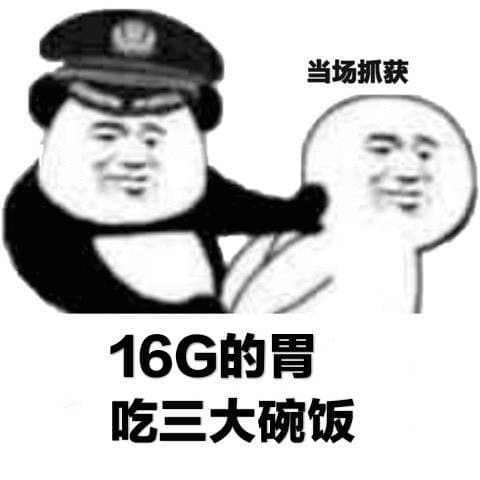 16G的胃，吃三大碗饭
