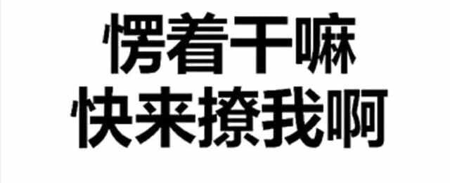 愣着干嘛，快来撩我啊